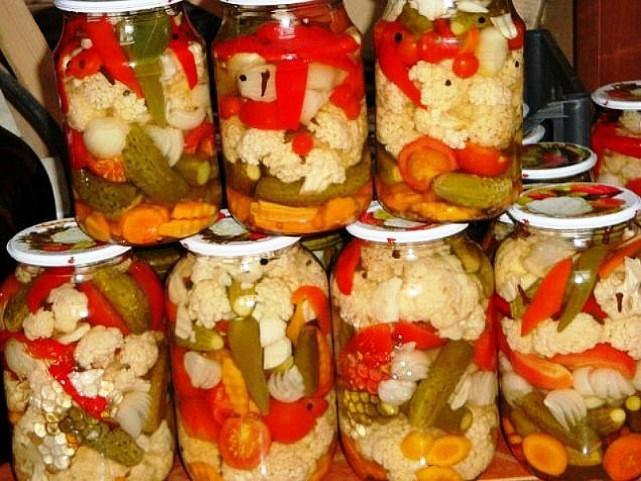 Как размножать жимолость: лучшие способы и дальнейший уход за Как сажать капусту в открытый грунт: уход, схема