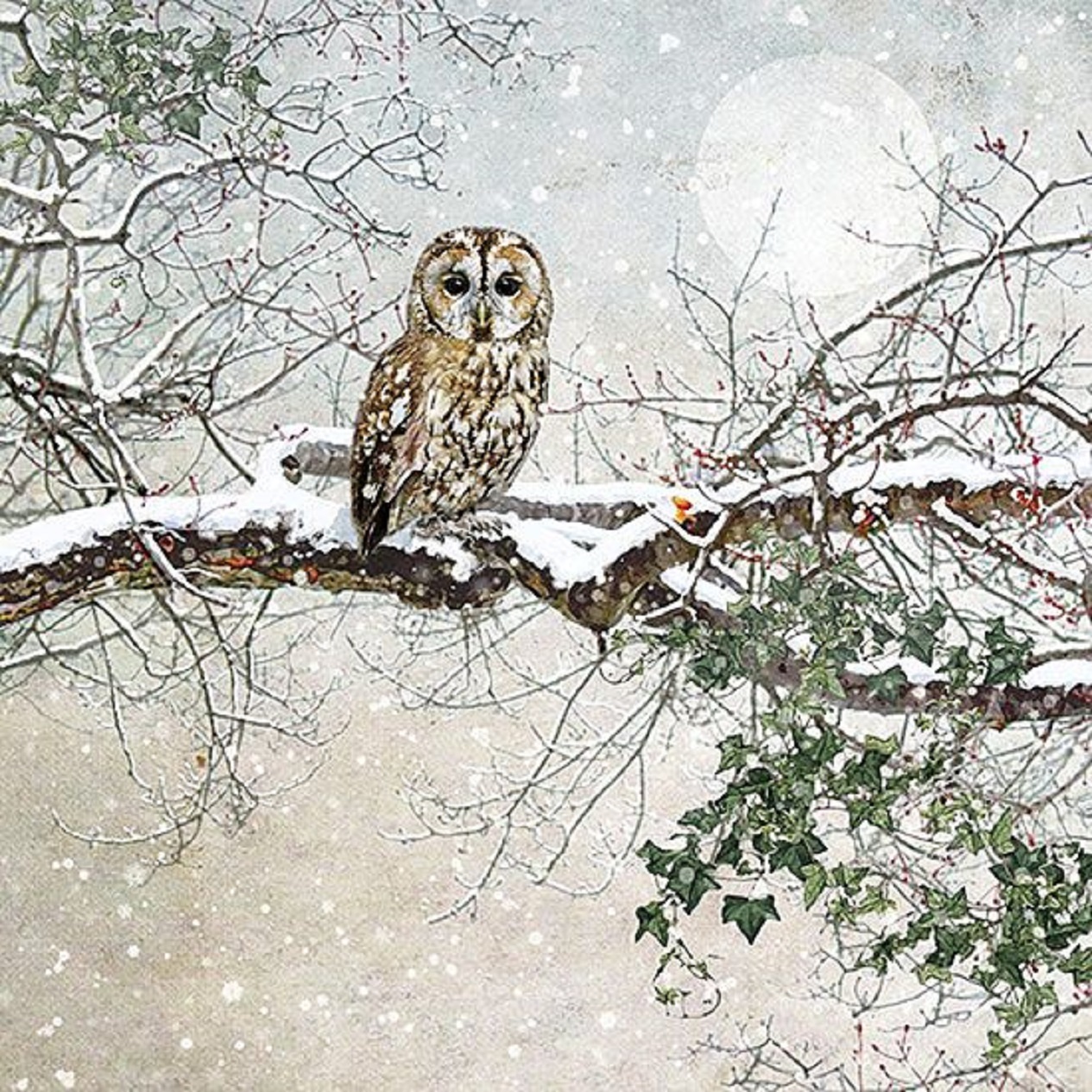 Художник Jane Crowther