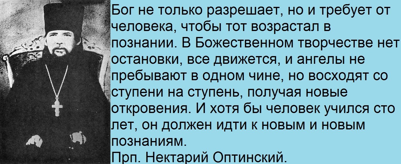 Роль наставления в жизни человека. Прп Нектарий Оптинский. Нектарий Оптинский изречения. Нектарий Оптинский наставления. Высказывания Нектария Оптинского.