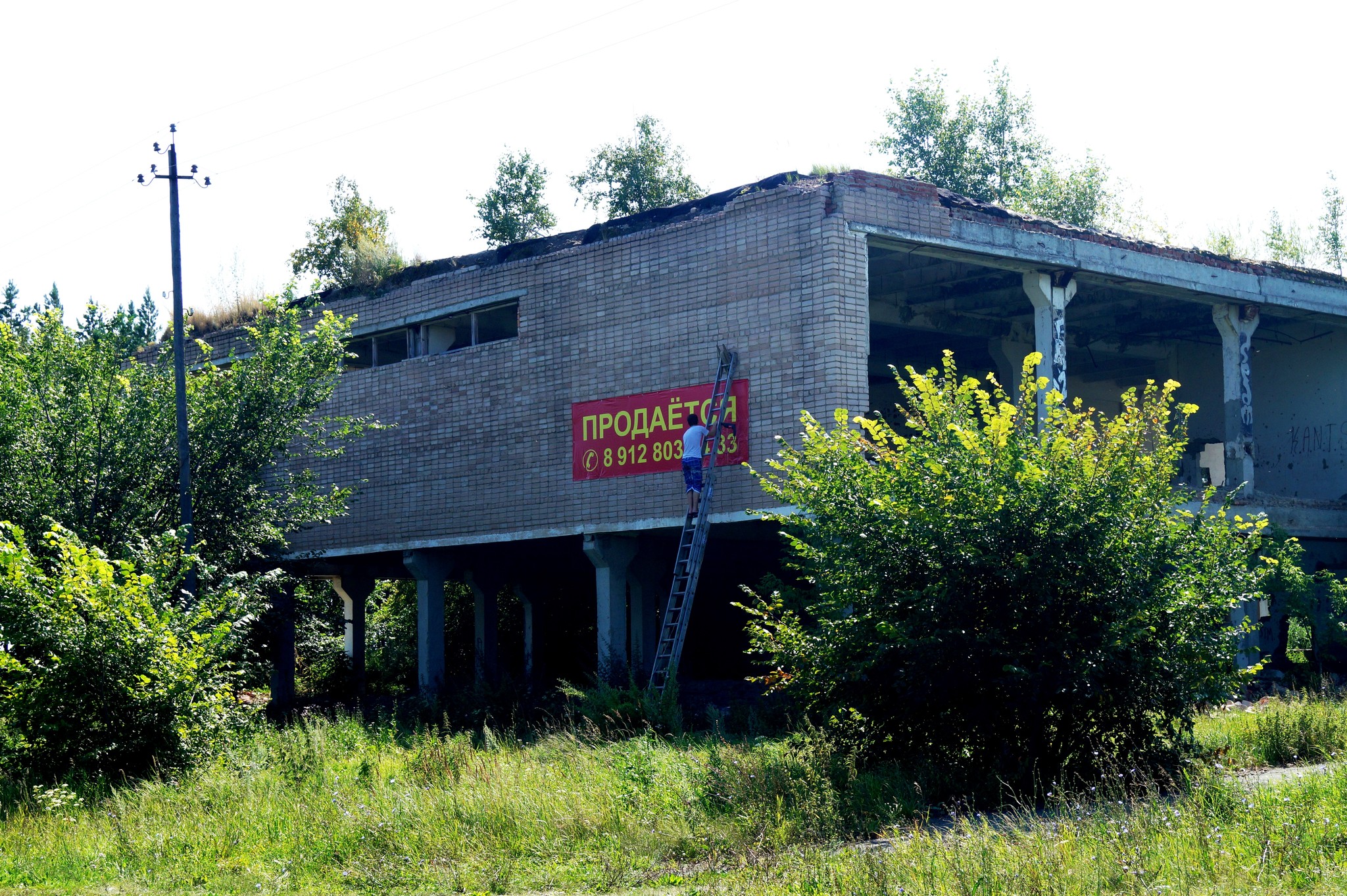 Авито бродокалмак. Бродокалмак.ру. Бродокалмак ру фото. Бродокалмак ру фото школа. Бродокалмак майл.