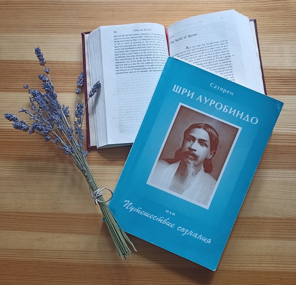 Сатпаев. "Шри Ауробиндо, или Путешествие сознания".
