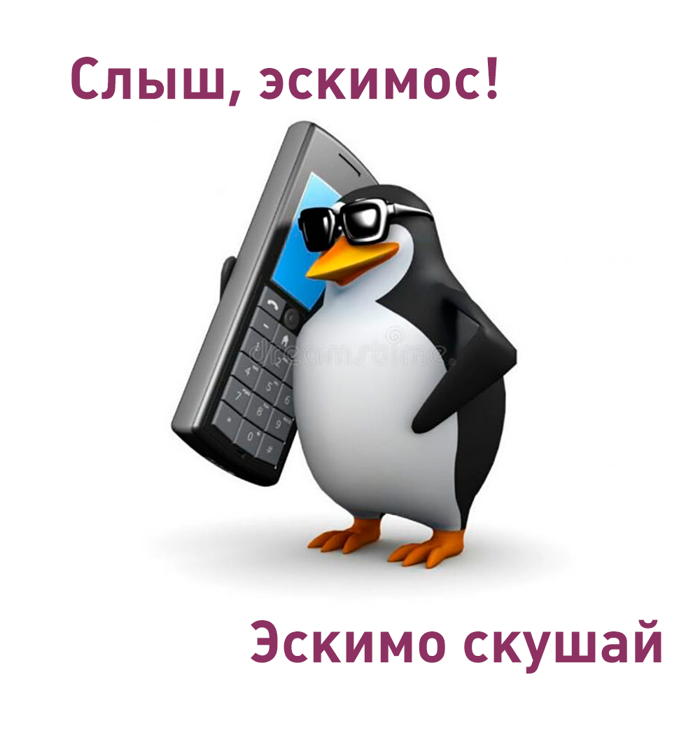 Алло пошла. Мемы с пингвином в очках. Пингвин Мем. Пингвин с телефоном. Ало фронзес Мем.