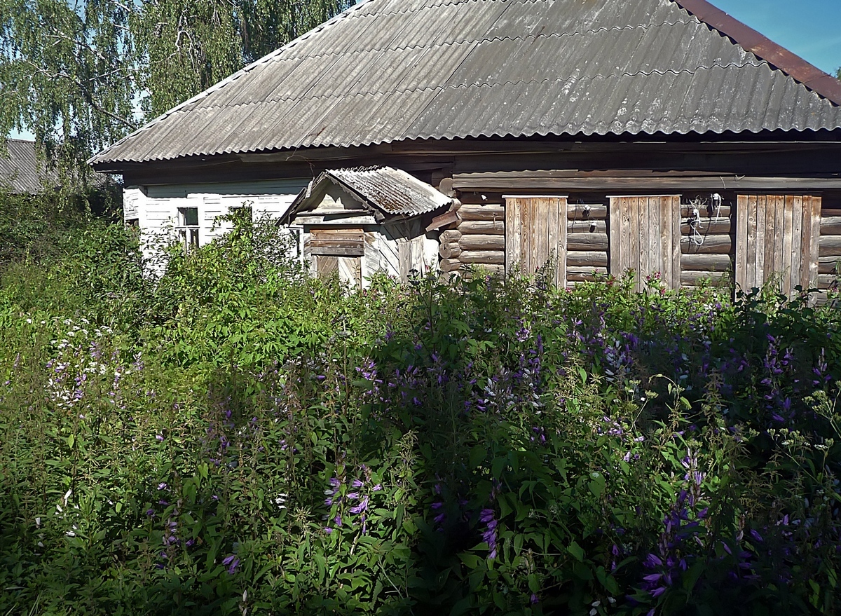 Молоково тверской обл. Поселок городского типа Молоково. Молоково Тверская область. Деревня Молоково. Деревня Молоково Тверская область.