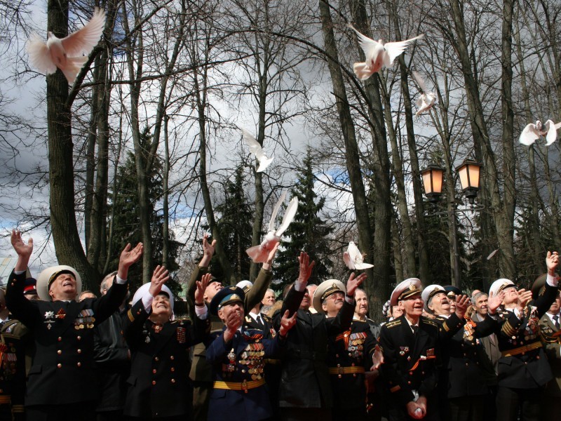 Фото голубя на 9 мая. С днем Победы мирного неба. Ветераны и голуби. Голубка ко Дню Победы. День Победы голуби.